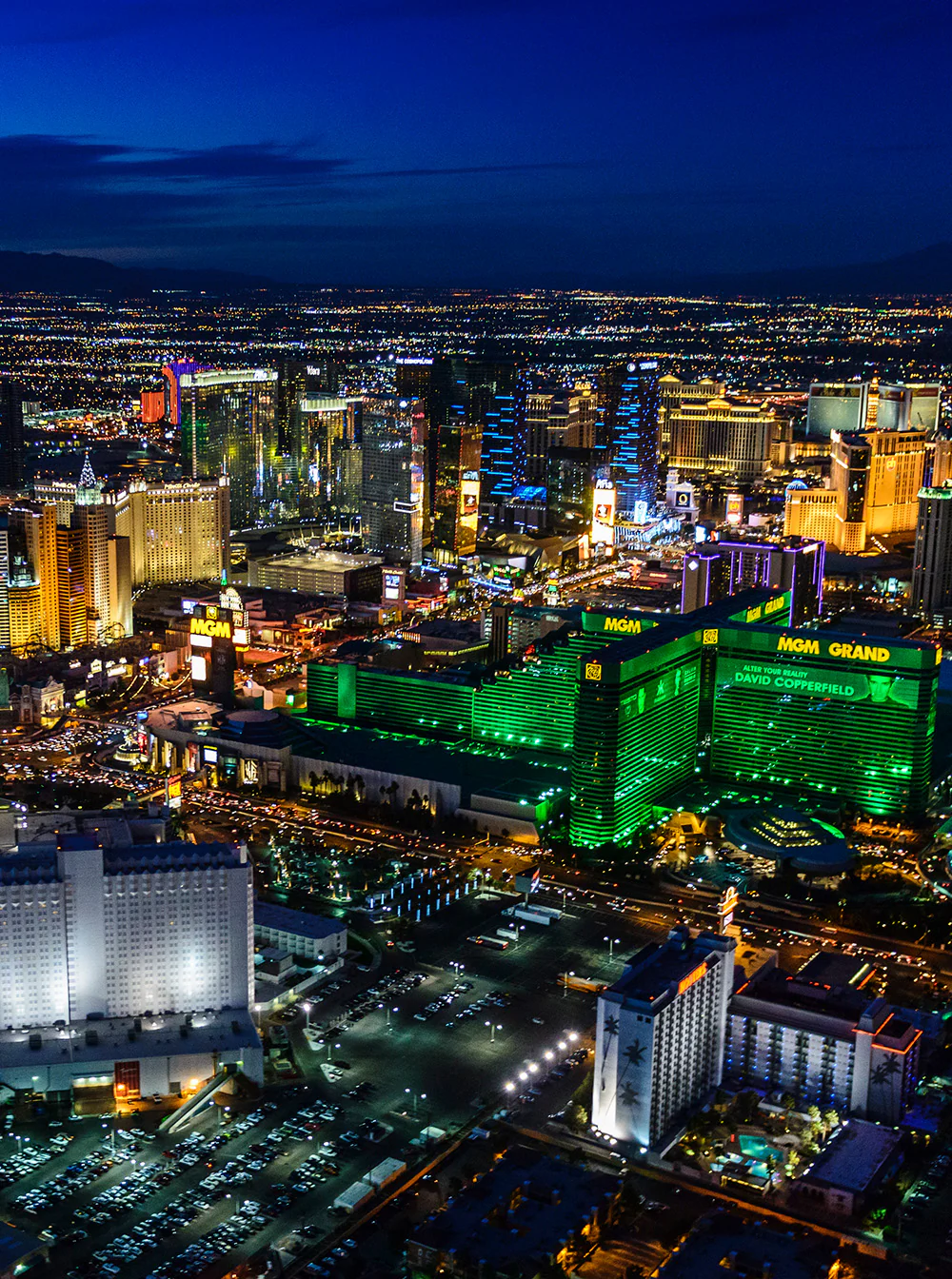 Non-Ticketed Vegas Fan Bundle - Image 2